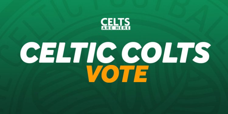 Celtic Colt Vote Set to Go Ahead