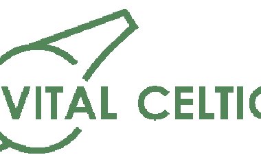 English media report “big money transfer” coming Celtic’s way